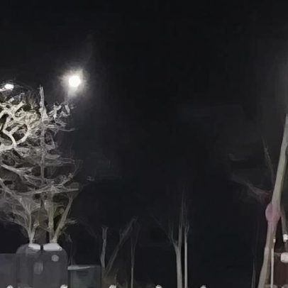 Robô humanoide com mochila celebra após perseguir javalis para a floresta