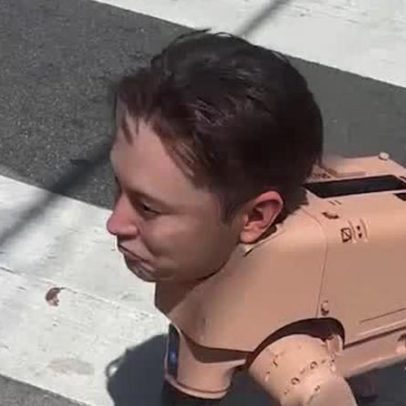 Cão-robô de Elon Musk é encontrado vagando pelas ruas de San Francisco
