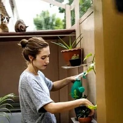 Guia para ter pomar com árvores na sacada ou varanda de apartamento