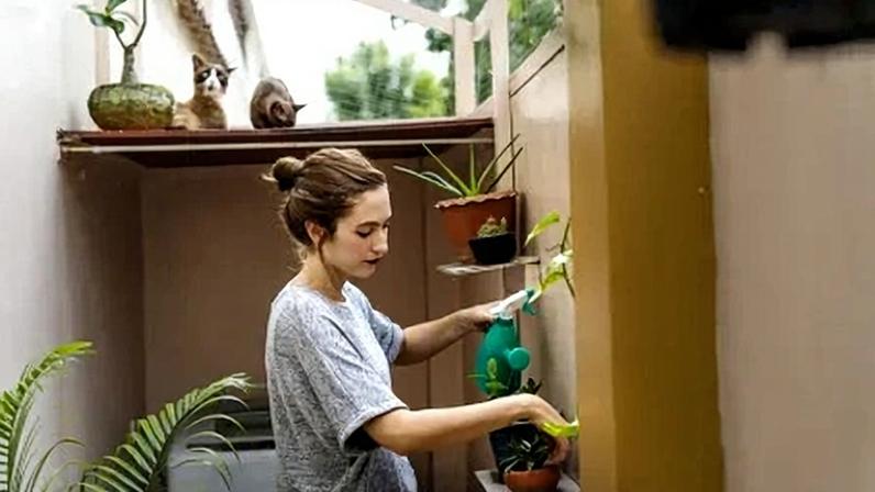 Guia para ter pomar com árvores na sacada ou varanda de apartamento