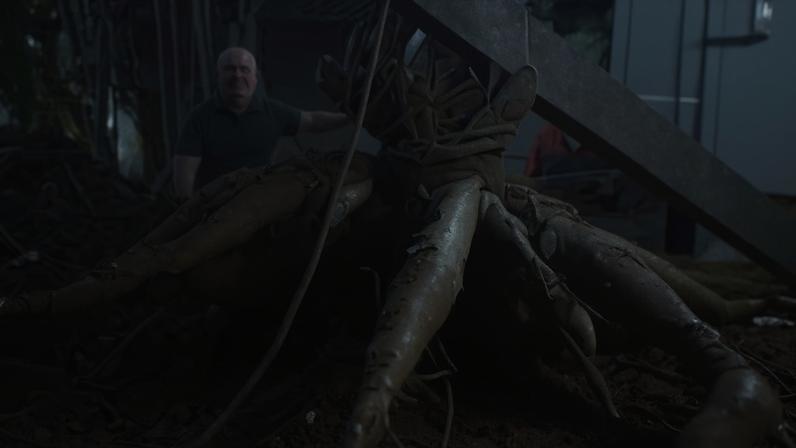 Mandioca gigante