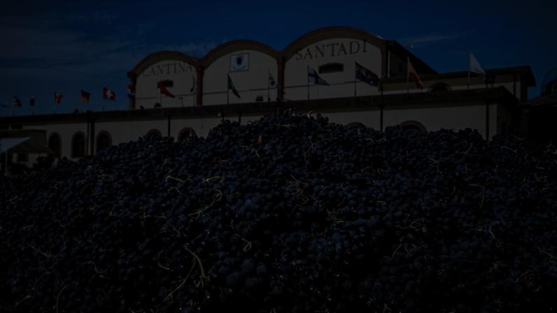 Cantina Santadi