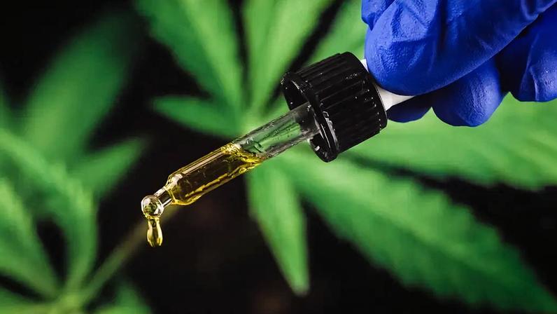 EXPANSÃO - Medicamentos de Cannabis também é tratamento para dor, ansiedade e depressão (Reprodução/Instagram)