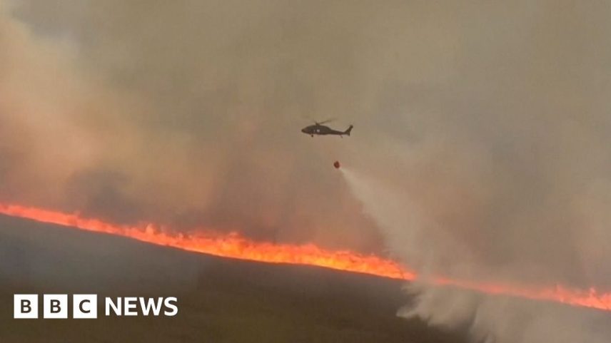 Bombeiros tentam conter incêndio de vegetação nos Everglades, Flórida