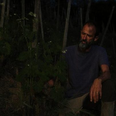 Vinhos Syrah de Aymeric Paillard em Saint-Joseph são únicos e impressionantes