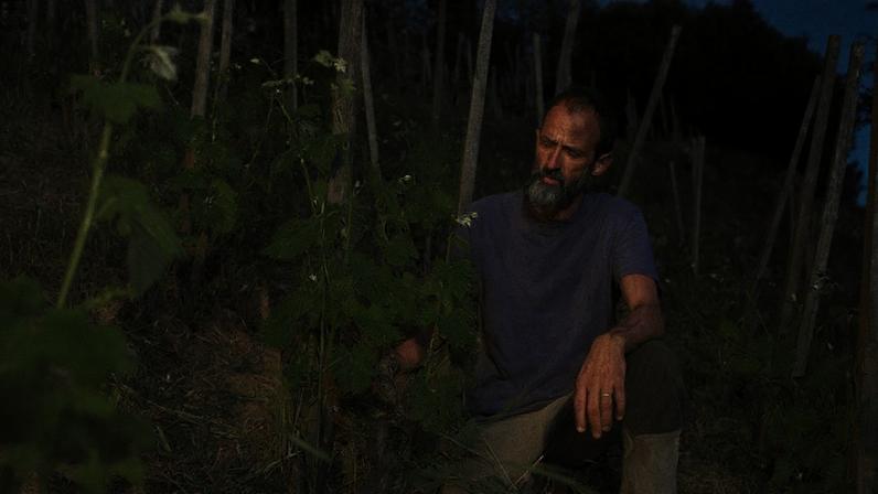 Vinhos Syrah de Aymeric Paillard em Saint-Joseph são únicos e impressionantes
