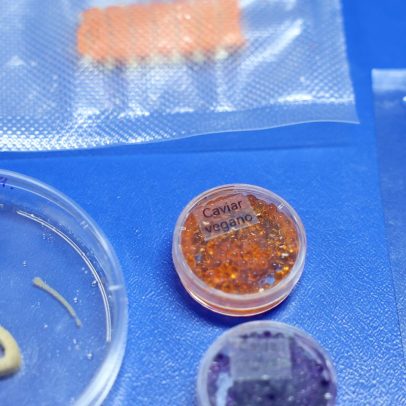 Embrapa desenvolve salmão, caviar e anéis de lula veganos em laboratório