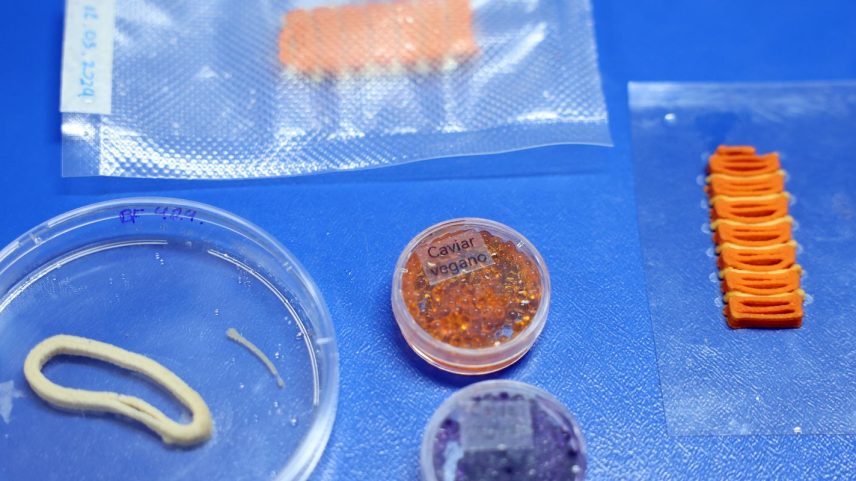 Brasília (DF), 26/05/2026 - O laboratório de nanotecnologia da Embrapa produz em caráter experimental substitutos veganos de carne vermelha, salmão e lula por meio de uma impressora carregada de massa feita do extrato de sementes. Foto: Valter Campanato/Agência Brasil