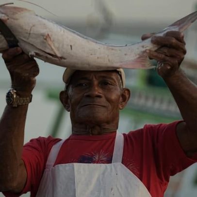 Países avançam com proteções para o peixe-gato migratório da Amazônia