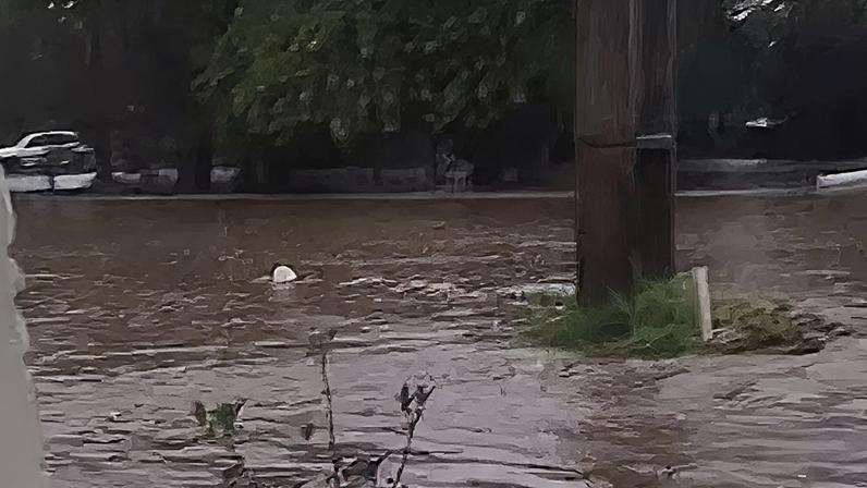 Reprodução / Porto Alegre 24 horas