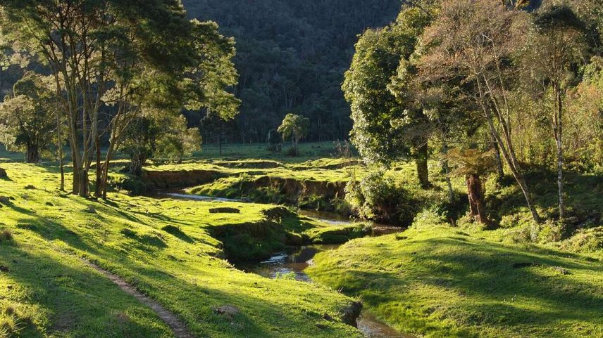 Parque Nacional da Serra do Itajaí – Wikimedia Commons/Cristian Janke