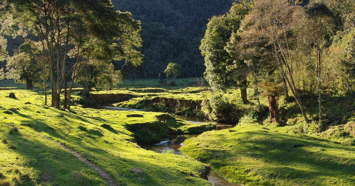 Itajaí cresce e atrai moradores, entre indústria e turismo