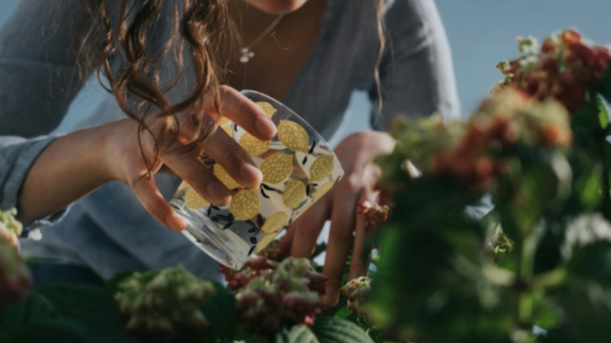 Foto - Matteo Badini via Pexels