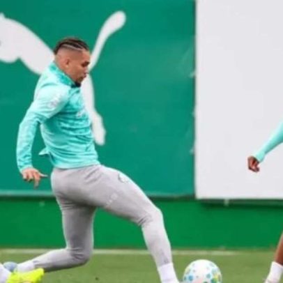 Palmeiras terá retornos importantes diante do Cruzeiro