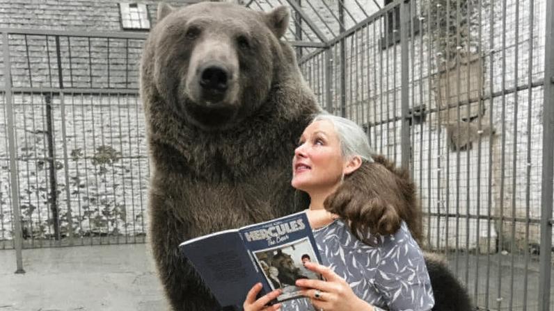 Casal adota urso Hércules e o cria como parte da família