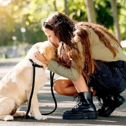 Cachorro que não quer passear: causas comuns e orientações