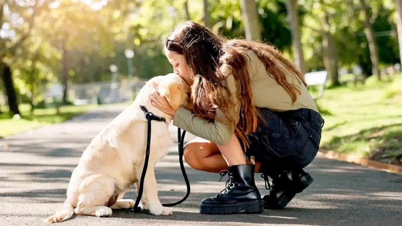 Observar os sinais do cachorro durante os passeios é importante, pois a resistência pode indicar desde fatores emocionais até desconfortos físicos