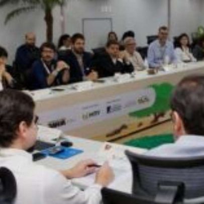 Recaatingamento no Nordeste pode reduzir desertificação