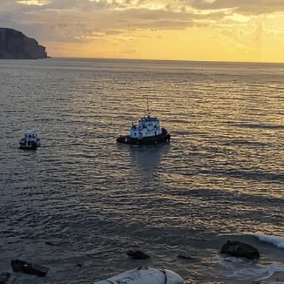Críticas após reboque de carcaça de baleia para aterro em Wollongong