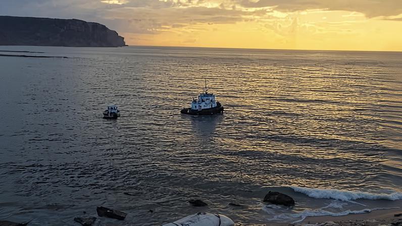 The sperm whale carcass was removed from Era beach by a tug boat on Friday and towed to Wollongong.
