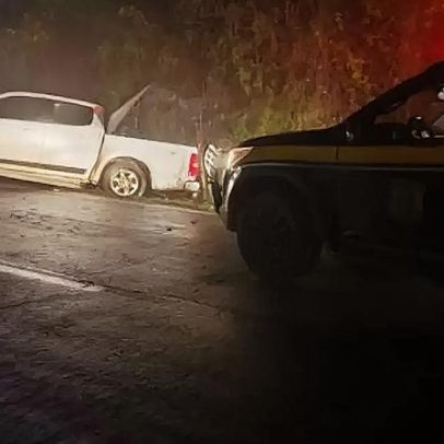Motorista de 31 anos morre após caminhonete sair da pista na BR-392