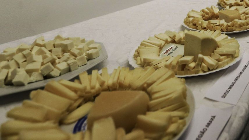 Queijo artesanal, queijo Canastra