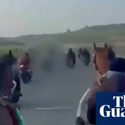 Polícia da Sicília investiga corrida ilegal com carroças e Kalashnikovs