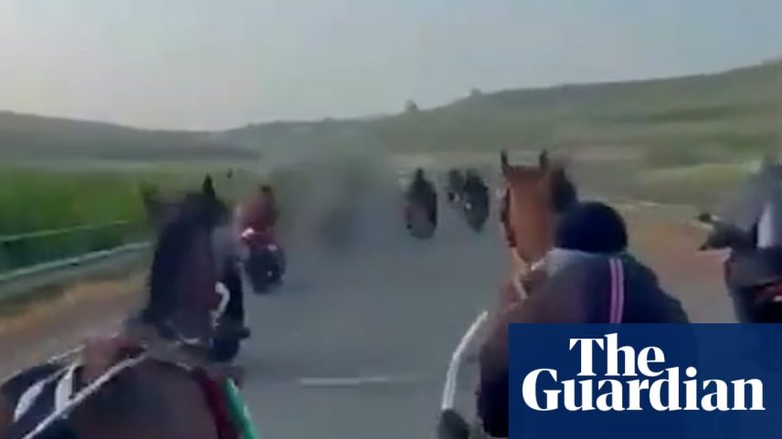 Police released footage showing illegal horse racing in streets of Catania – video