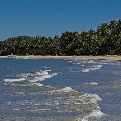 Homem morre em ataque de tubarão na costa nordeste da Austrália