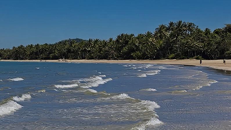 Homem morre em ataque de tubarão na costa nordeste da Austrália