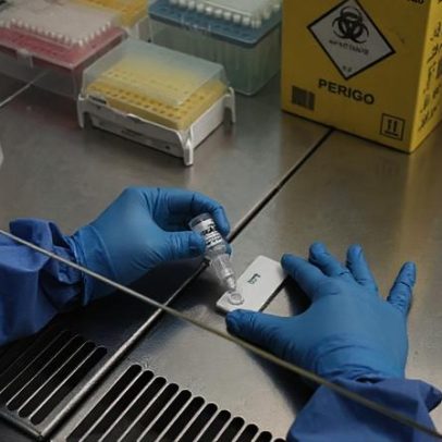 Hantavírus mata quase metade dos infectados no Brasil; onde há mais risco