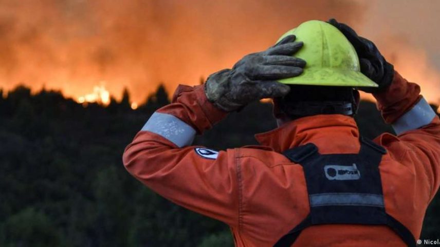Cientistas alertam para incêndios florestais particularmente graves em 2026