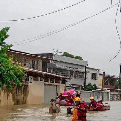 Temporais deixam quase 30 cidades em situação de emergência; veja como ajudar