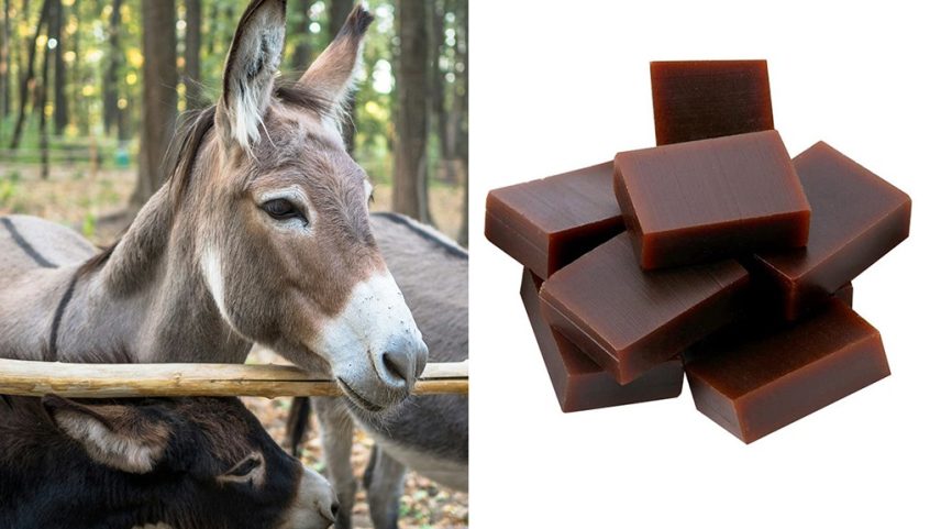 À esquerda, dois jumentos em um cercado de madeira, um cinza e outro preto, com árvores ao fundo. À direita, um monte de blocos retangulares de gelatina escura, que são os cosméticos produzidos na china.