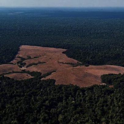 UE mantém aplicação da lei anti-desmatamento em 2026, rejeitando novo adiamento