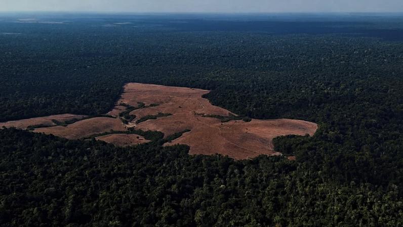 Imagem aérea indica desmatamento da Amazônia no Pará. (14/11/2025)