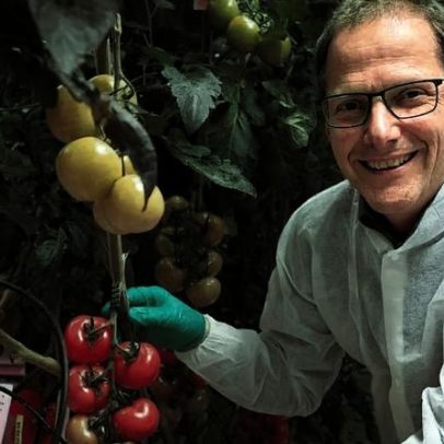 Holanda, terceiro maior exportador de alimentos, apesar de território pequeno