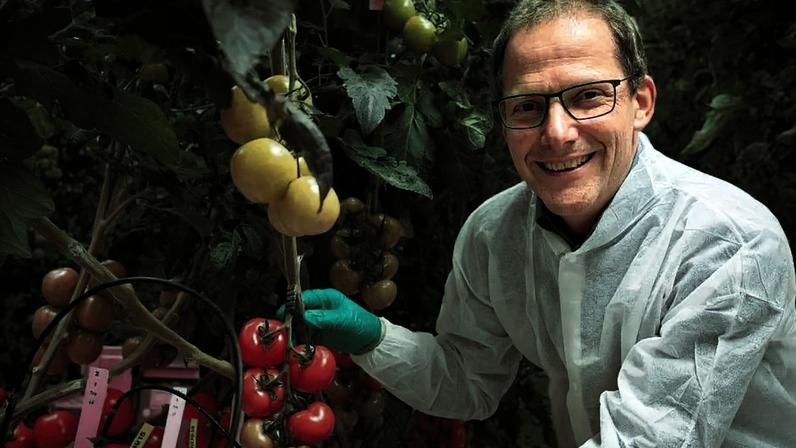 O professor Leo Marcelis é chefe do grupo de Horticultura e Fisiologia Vegetal da Universidade de Wageningen