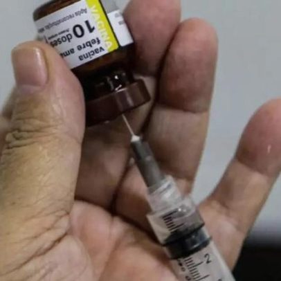 Febre amarela: vacinação é reforçada no ABC após caso em macaco em Santo André