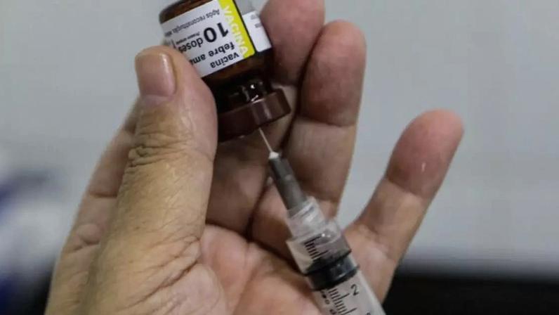 Vacinação é a principal forma de prevenção da febre amarela.