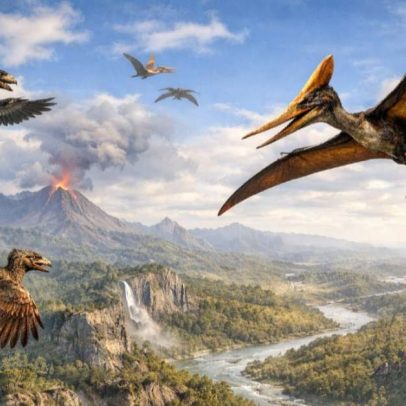 Aves gigantes da Pré-História identificadas
