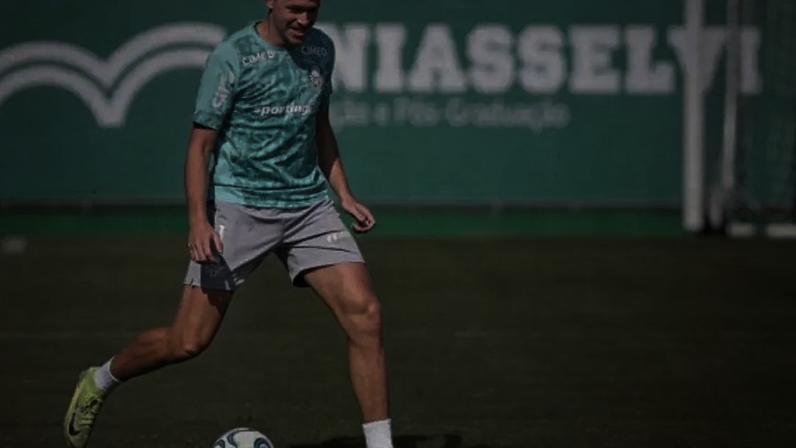 Palmeiras vive ótimo momento na temporada –