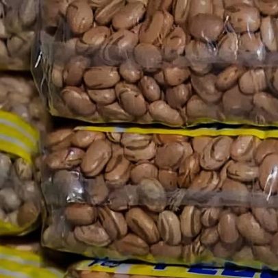 Tipos de feijão revelam variedade maior do que se pensava
