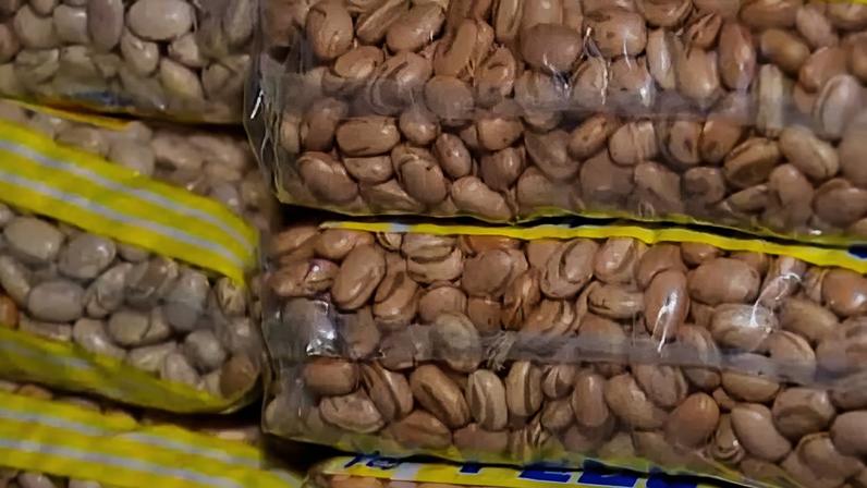 Tipos de feijão revelam variedade maior do que se pensava