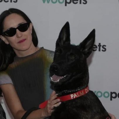 Coprodução brasileira La Perra leva Palm Dog em Cannes com Yuri