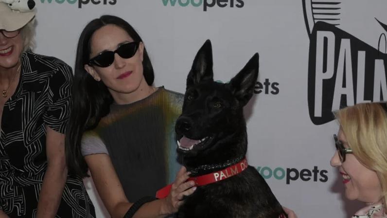 Coprodução brasileira La Perra leva Palm Dog em Cannes com Yuri
