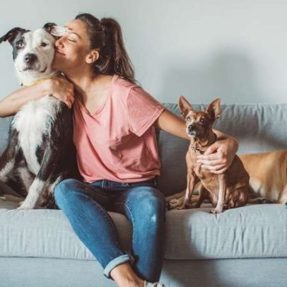 Pesquisas avaliam se mães de pets exercem papel semelhante ao materno