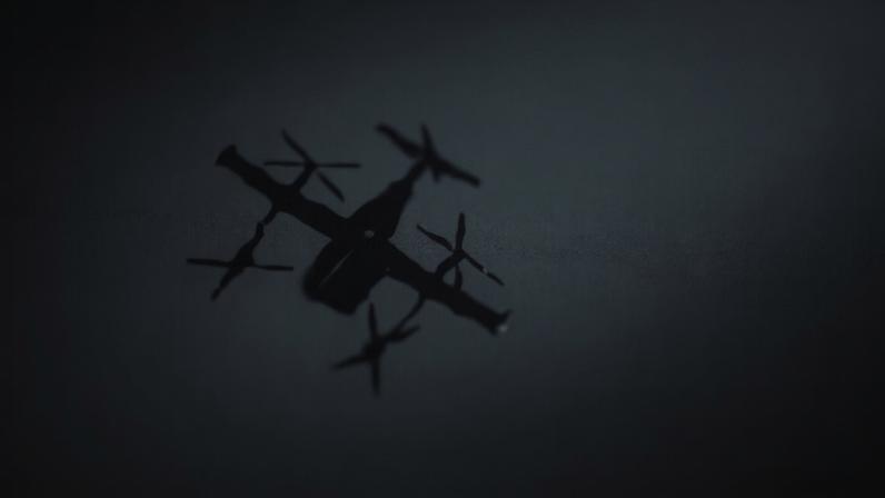 Brasileira surpreende ao mostrar entrega de fralda por drone nos EUA