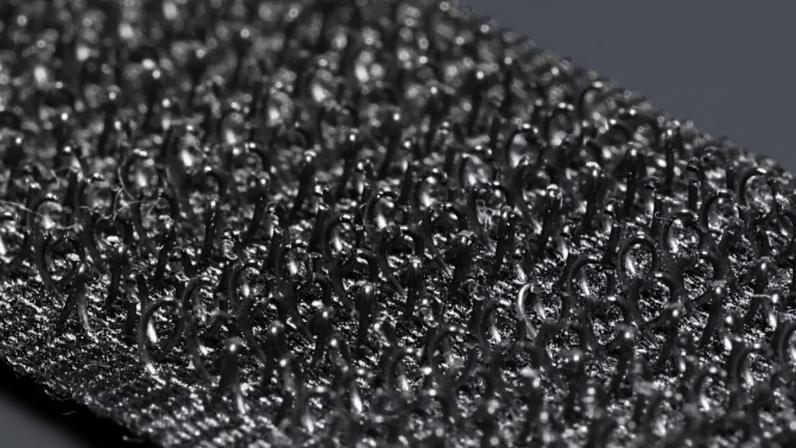 Sementes de carrapicho inspiraram criação do velcro, usado pela NASA