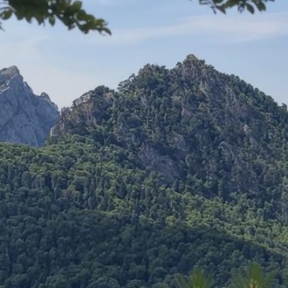Caça a ursos na floresta mais antiga da Europa, na Bósnia